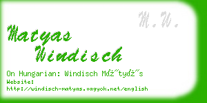 matyas windisch business card